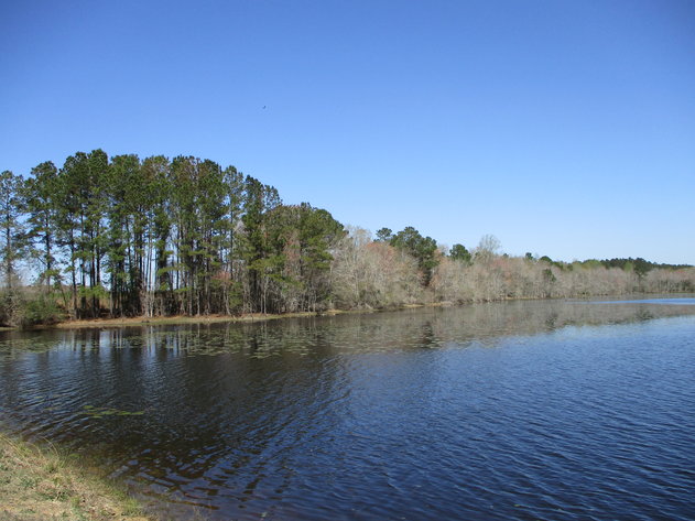 Image for LIVE AUCTION - May 6, 2021