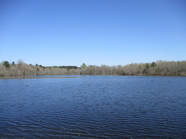 Image for LIVE AUCTION - May 6, 2021