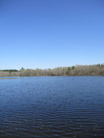 Image for LIVE AUCTION - May 6, 2021