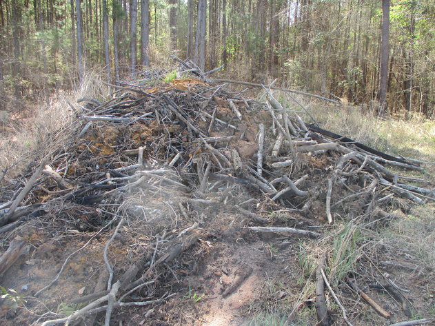 Image for LIVE AUCTION - May 6, 2021