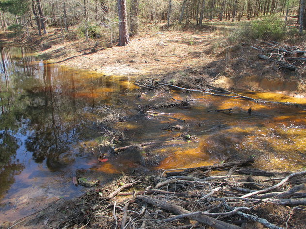 Image for LIVE AUCTION - May 6, 2021