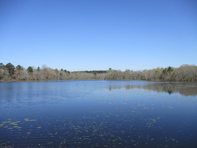 Image for LIVE AUCTION - May 6, 2021