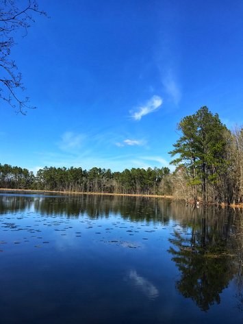 Image for LIVE AUCTION - May 6, 2021