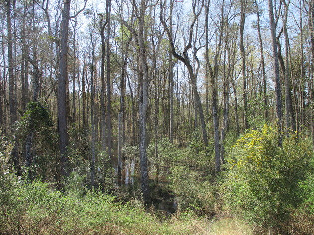 Image for LIVE AUCTION - May 6, 2021