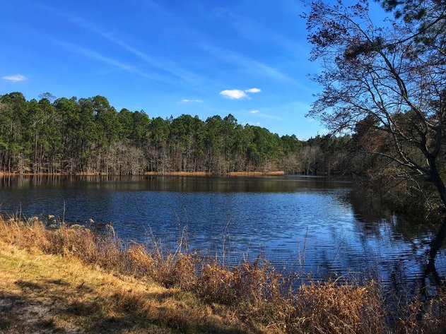 Image for LIVE AUCTION - May 6, 2021