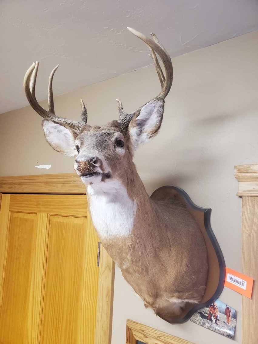 Image for Boat, Furniture, Collectibles, Garage related