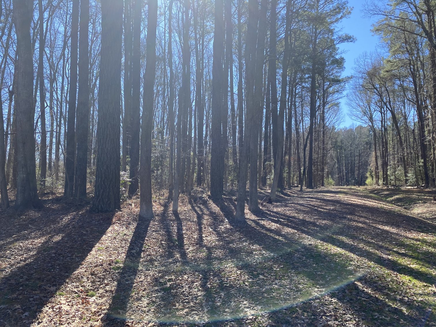 Image for (3) Northern Neck Water View Homesites, 