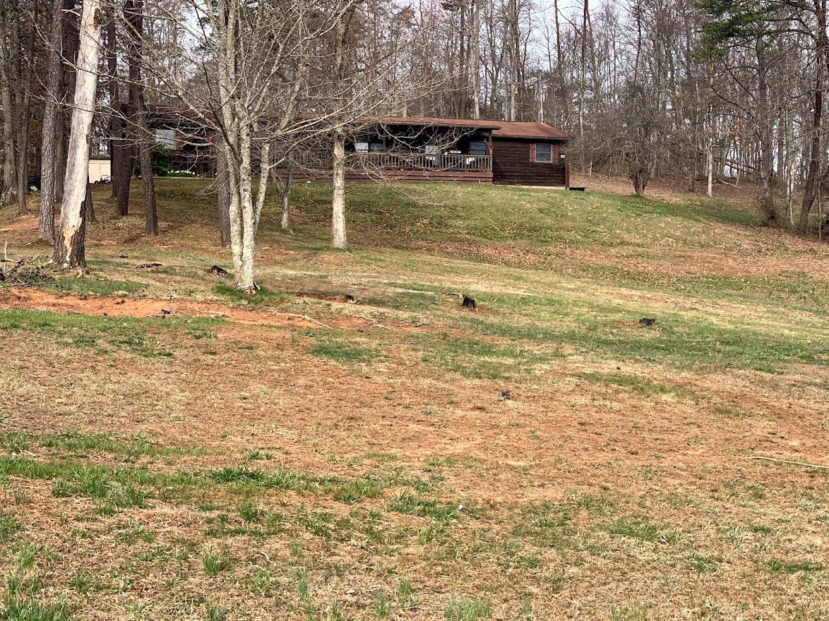 Image for Stigall Relocation Auction w/ Real Estate