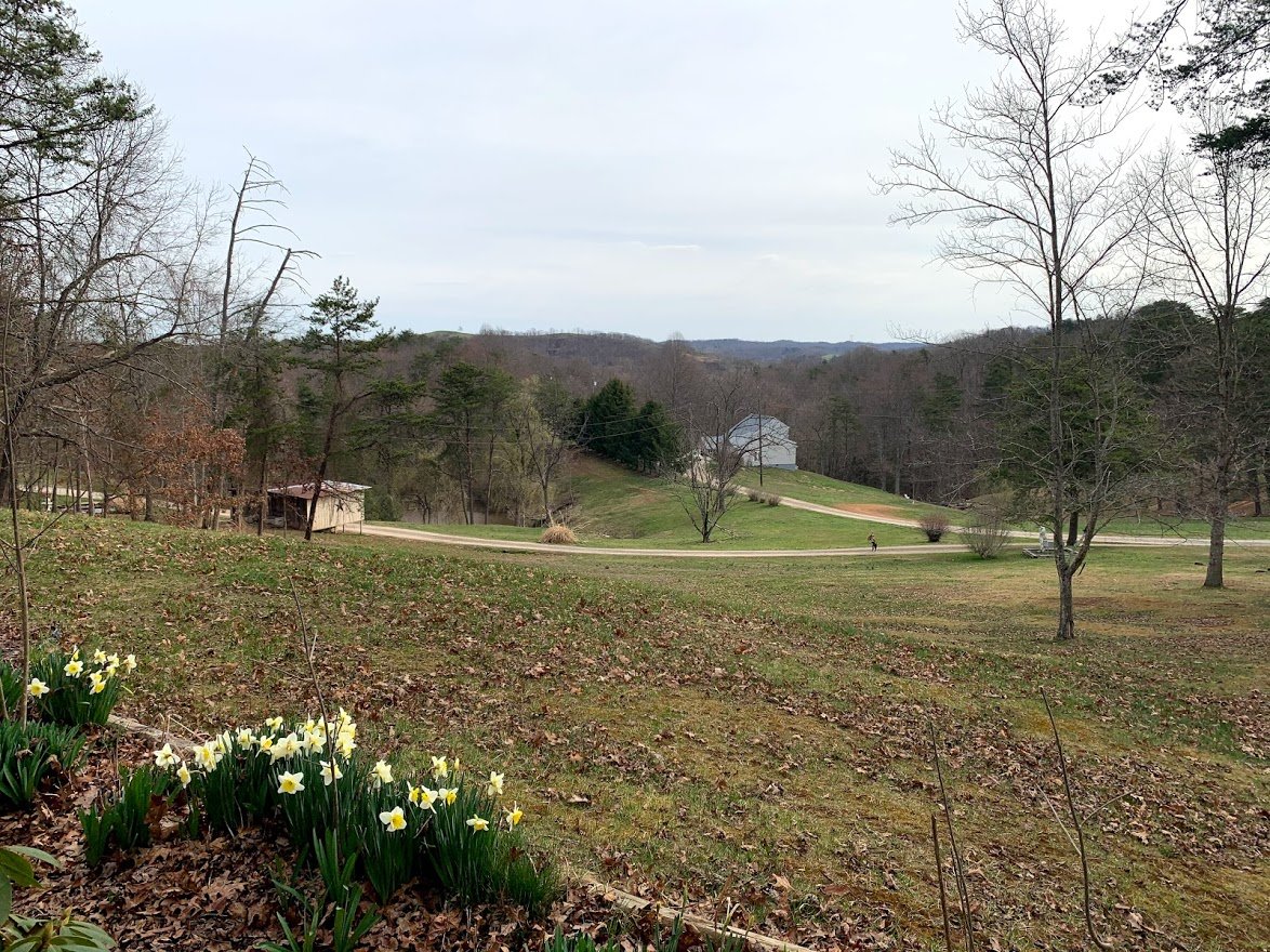 Image for Stigall Relocation Auction w/ Real Estate