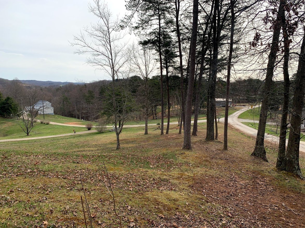 Image for Stigall Relocation Auction w/ Real Estate