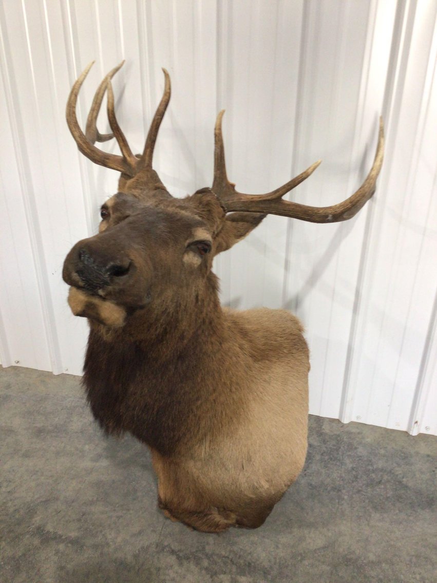 Image for On-Line Consignment Auction