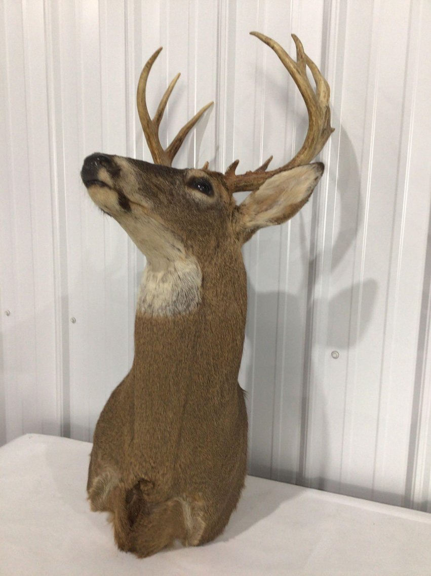 Image for On-Line Consignment Auction