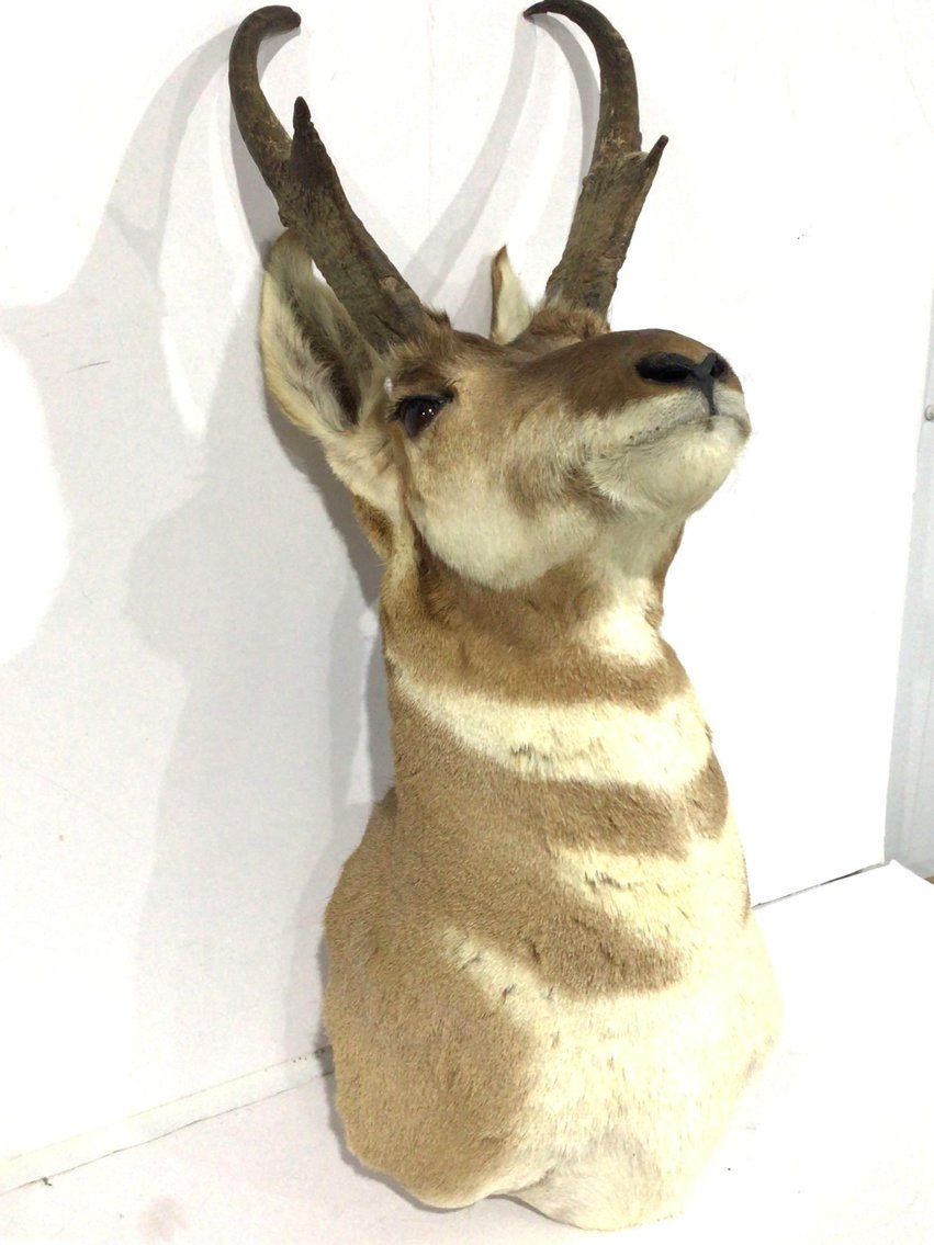 Image for On-Line Consignment Auction