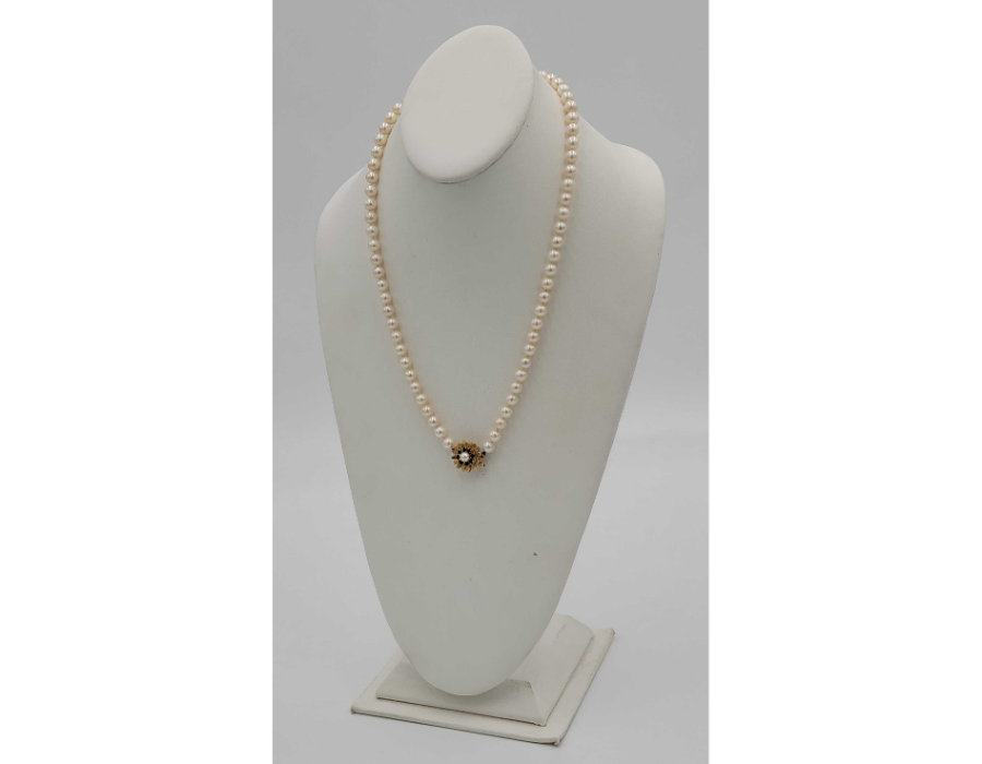 Image for April 2021 Curiosities Auction