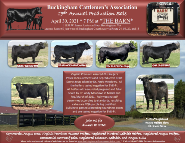 Image for Buckingham Cattlemen's Association 17th Annual Production Sale