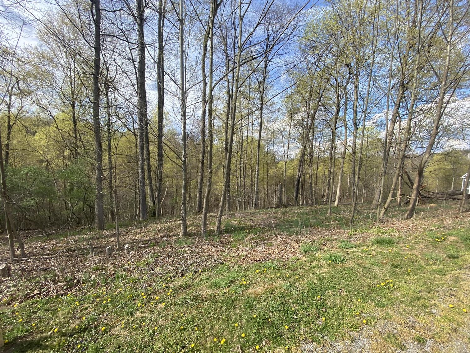Image for SOLD $25,300 - Nearly 1-Acre Lot in Falling Water