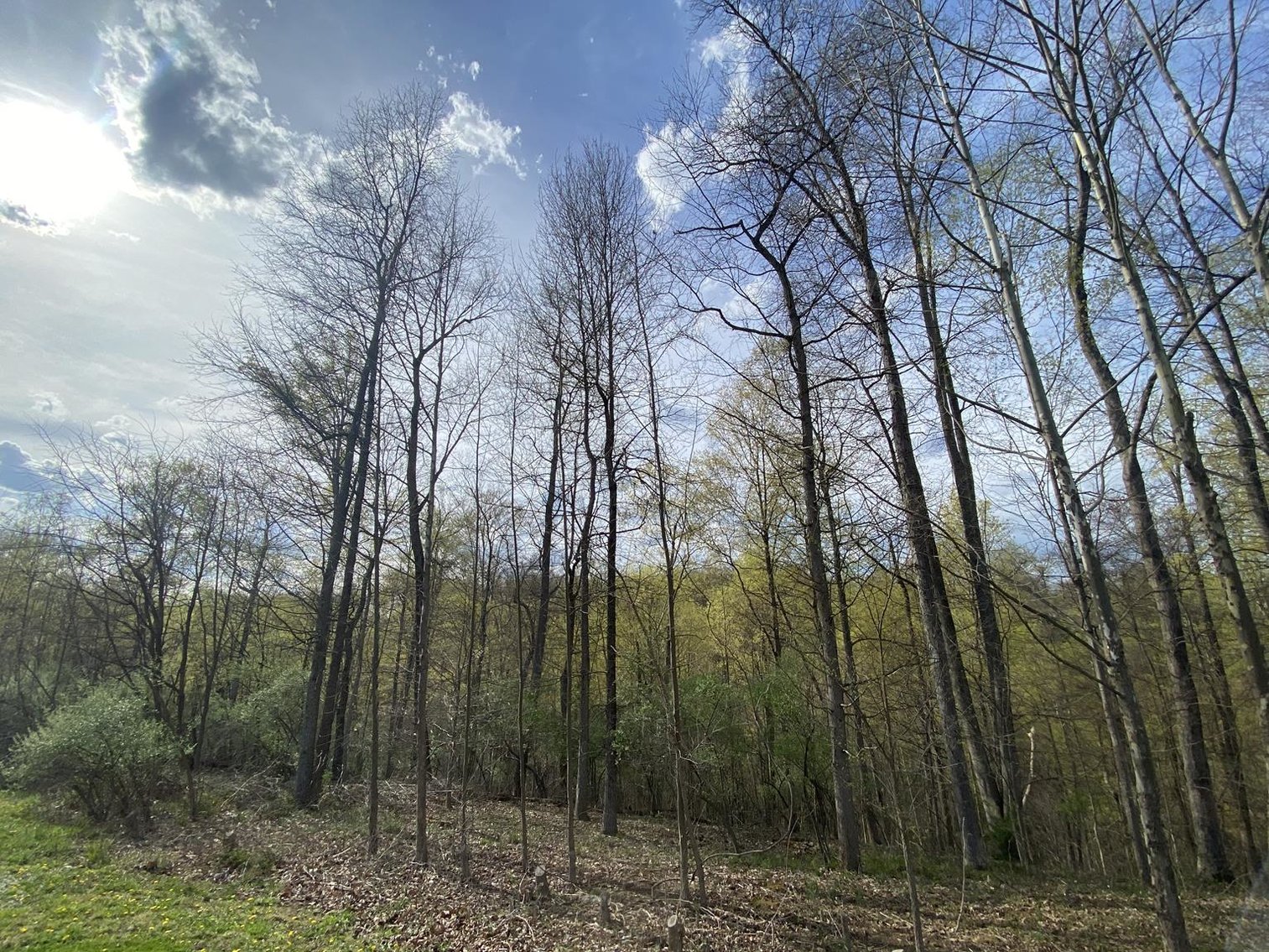Image for SOLD $25,300 - Nearly 1-Acre Lot in Falling Water