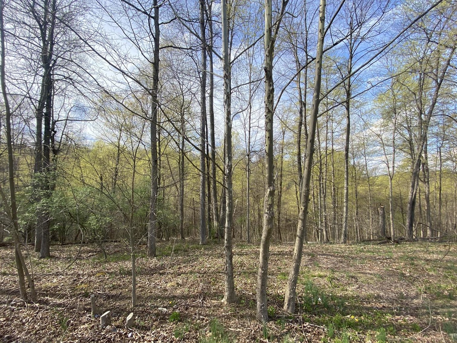 Image for SOLD $25,300 - Nearly 1-Acre Lot in Falling Water
