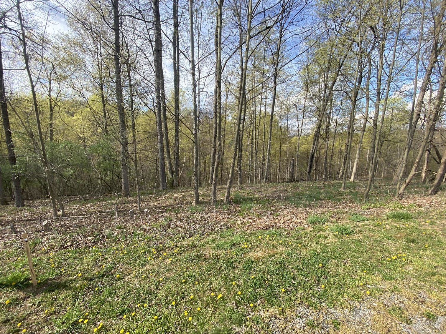 Image for SOLD $25,300 - Nearly 1-Acre Lot in Falling Water