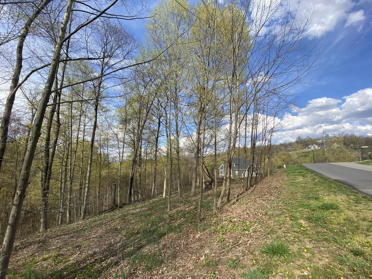 Image for SOLD $25,300 - Nearly 1-Acre Lot in Falling Water