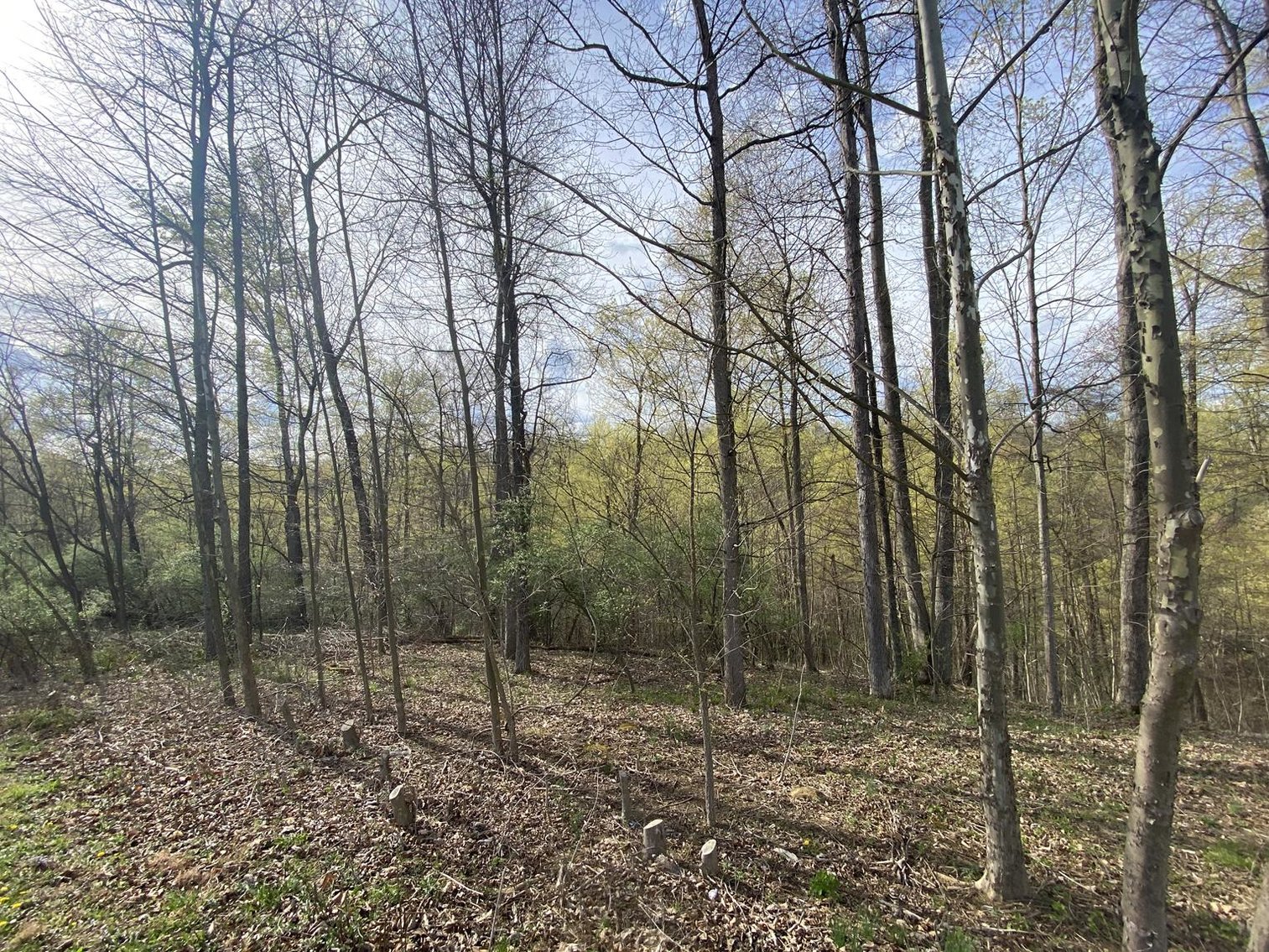 Image for SOLD $25,300 - Nearly 1-Acre Lot in Falling Water