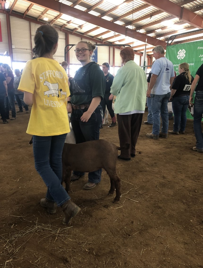 Image for 73rd Annual 4-H/FFA Fredericksburg Junior Livestock Show and Sale