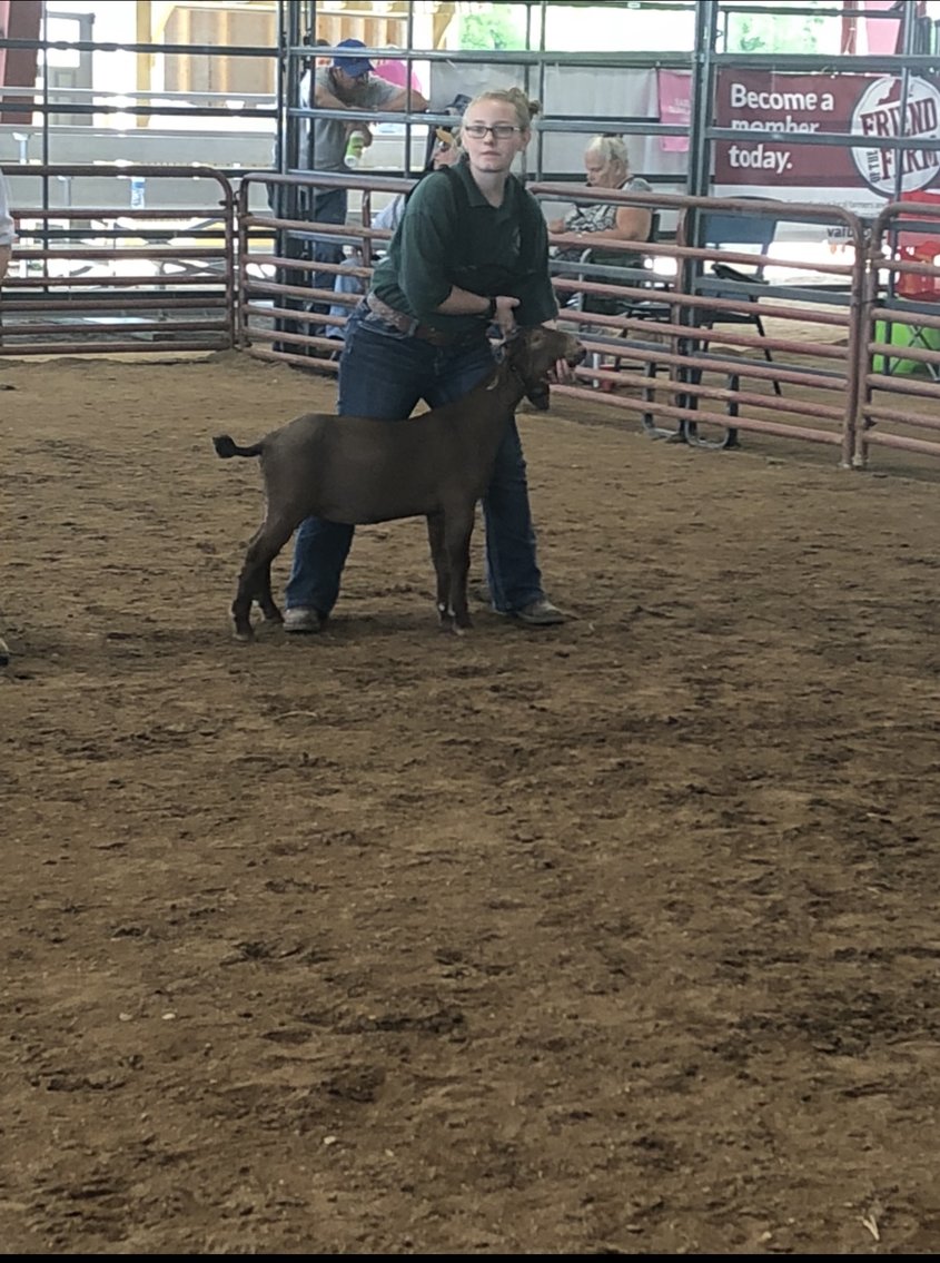 Image for 73rd Annual 4-H/FFA Fredericksburg Junior Livestock Show and Sale