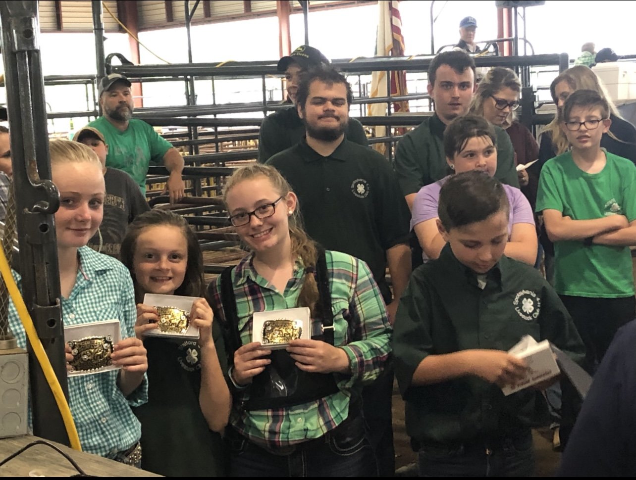 Image for 73rd Annual 4-H/FFA Fredericksburg Junior Livestock Show and Sale
