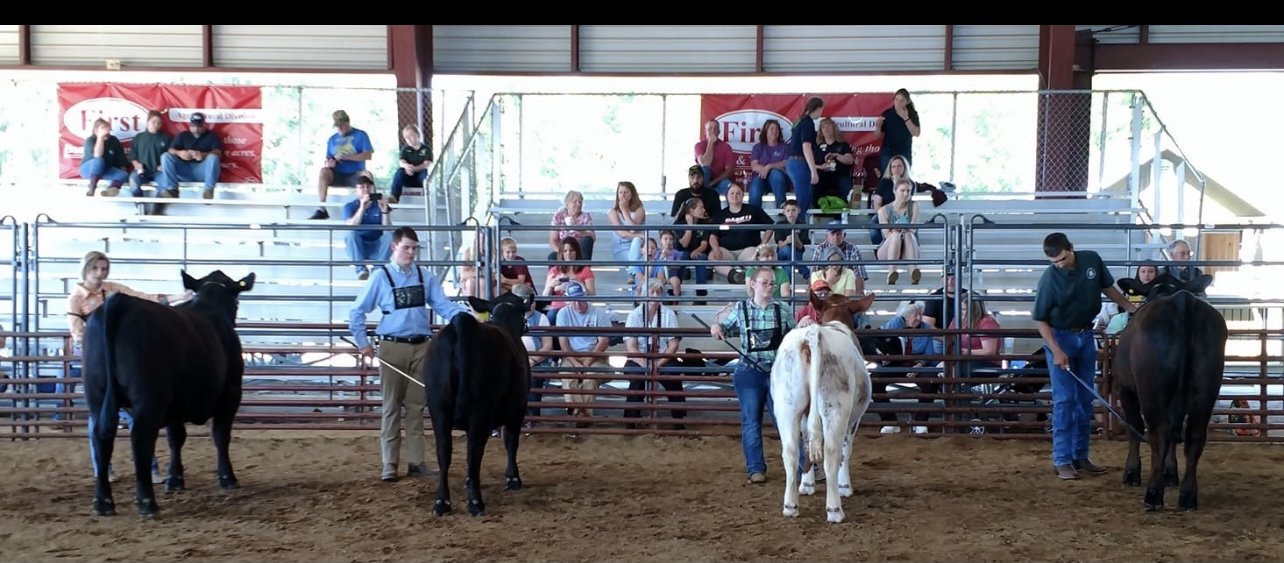 Image for 73rd Annual 4-H/FFA Fredericksburg Junior Livestock Show and Sale
