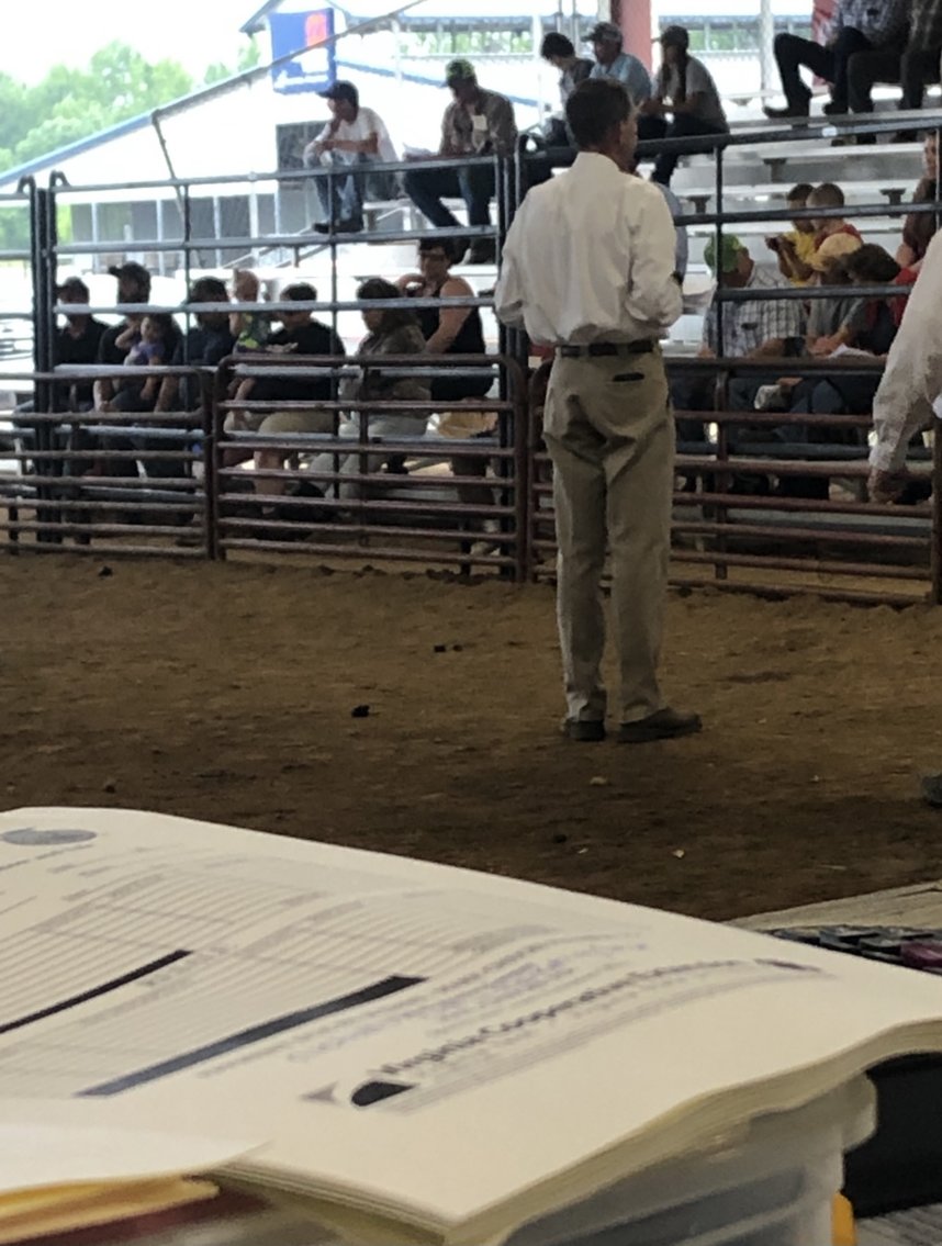 Image for 73rd Annual 4-H/FFA Fredericksburg Junior Livestock Show and Sale