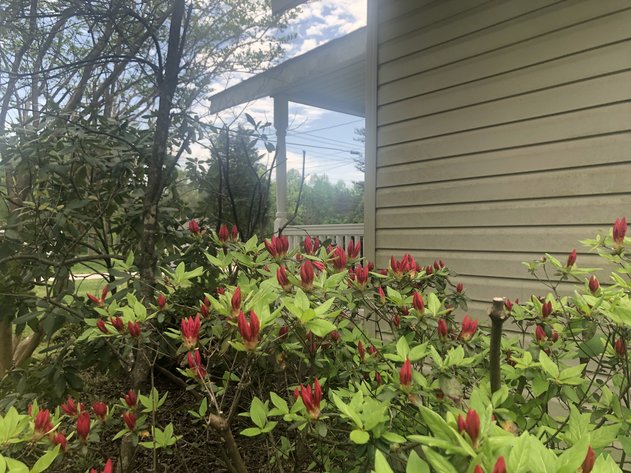 Image for Rowan County House & 12.5 Acres