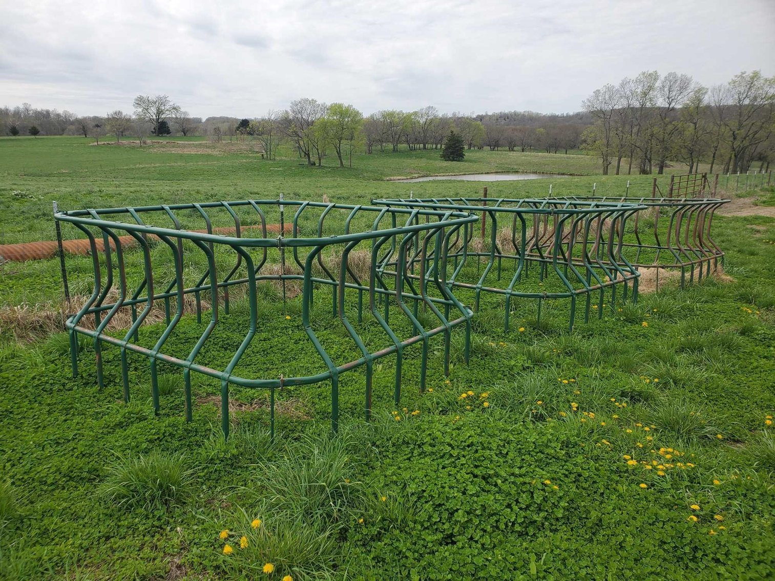 Image for Haynes On-Line Estate Auction