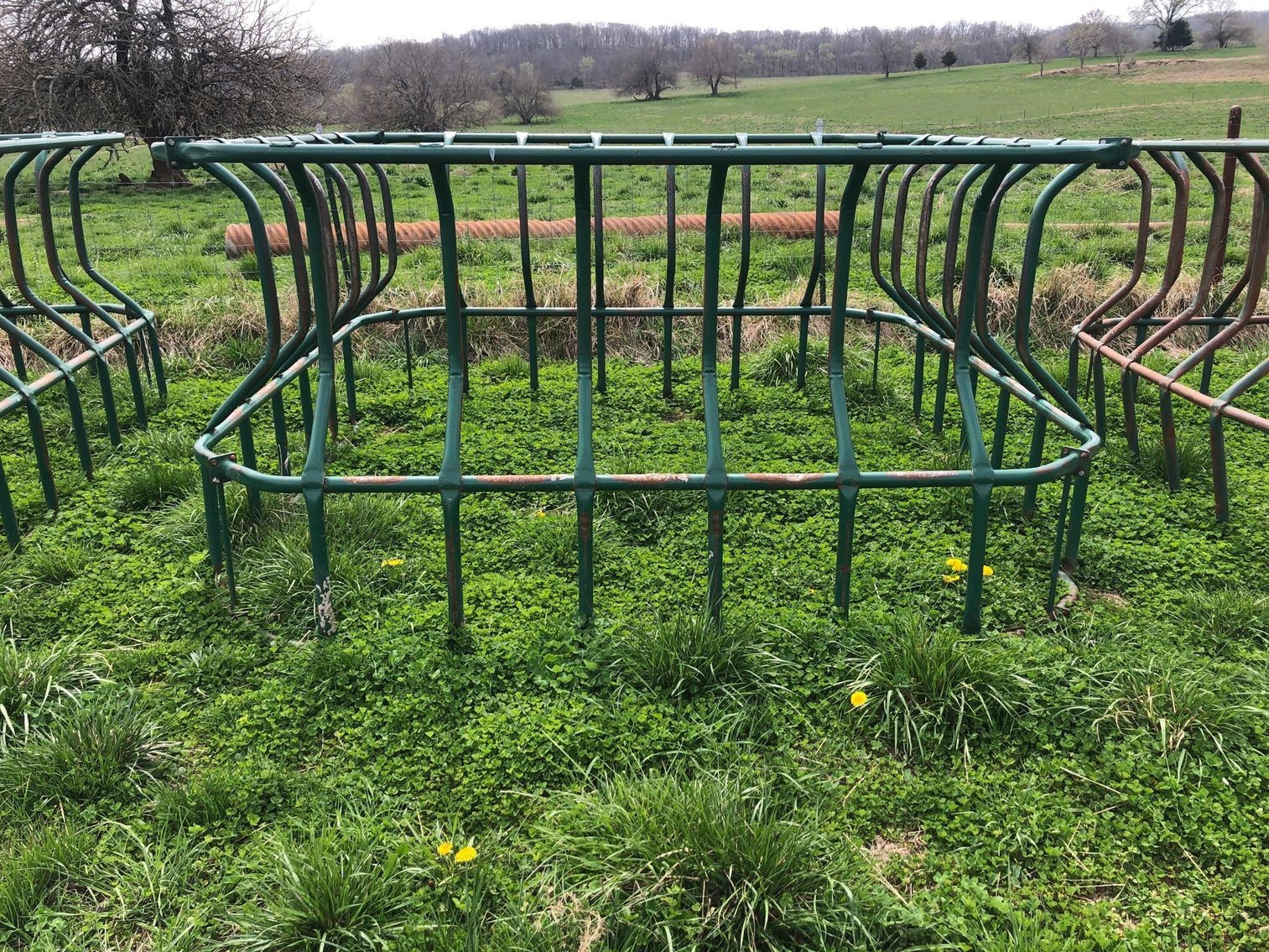 Image for Haynes On-Line Estate Auction