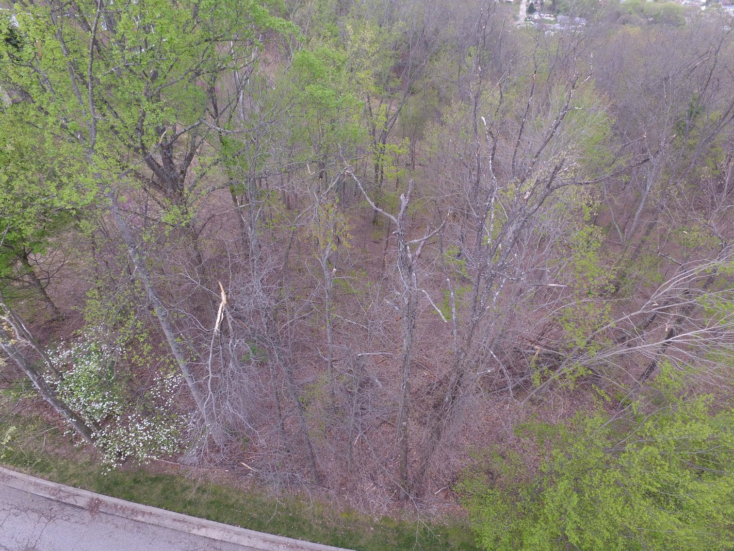 1.7 Acre Lot in Deer Creek Subdivision