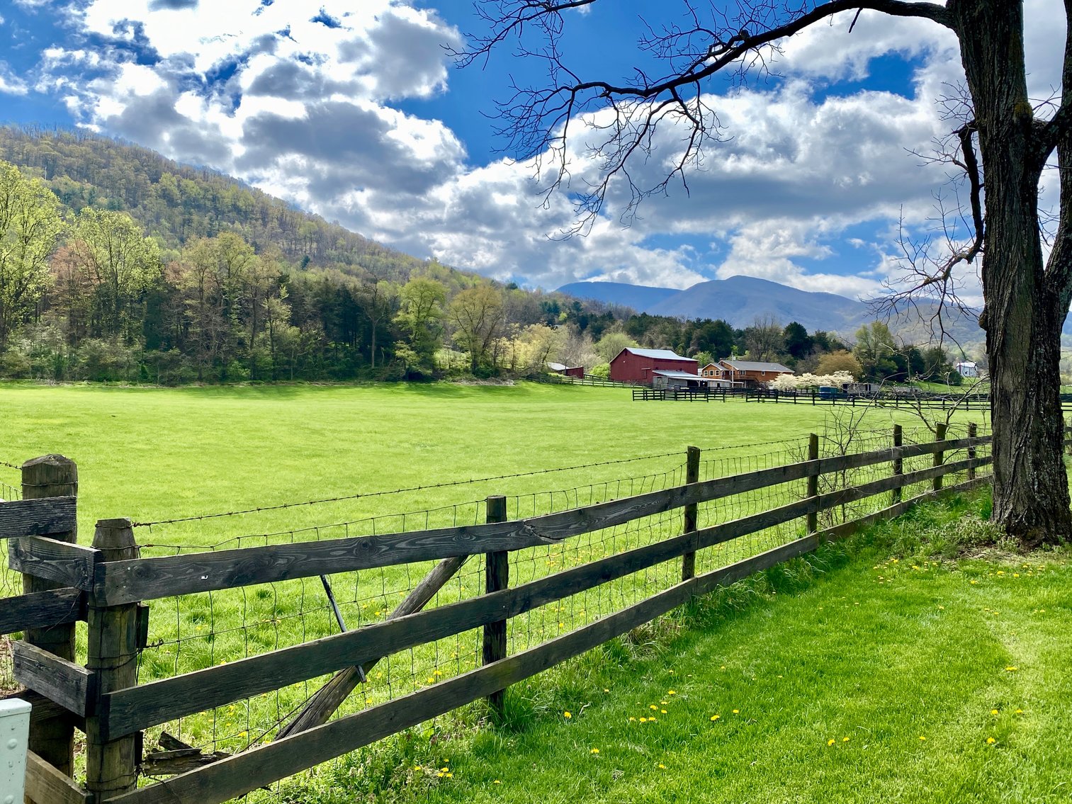 Image for 3 BR/4 BA Home w/Barn, Shop, Ponds, Pool, Fencing & More on 70 +/- Acres w/Amazing Mountain Views--Luray, VA