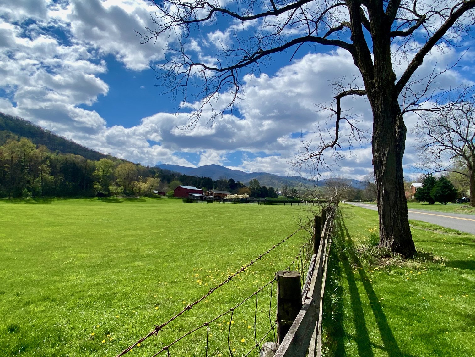 Image for 3 BR/4 BA Home w/Barn, Shop, Ponds, Pool, Fencing & More on 70 +/- Acres w/Amazing Mountain Views--Luray, VA