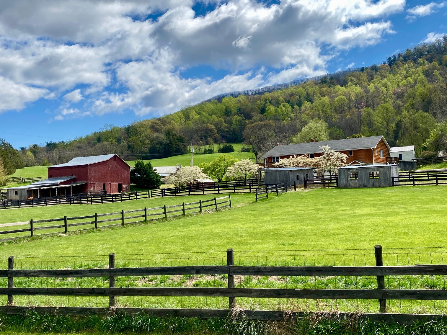 Image for 3 BR/4 BA Home w/Barn, Shop, Ponds, Pool, Fencing & More on 70 +/- Acres w/Amazing Mountain Views--Luray, VA
