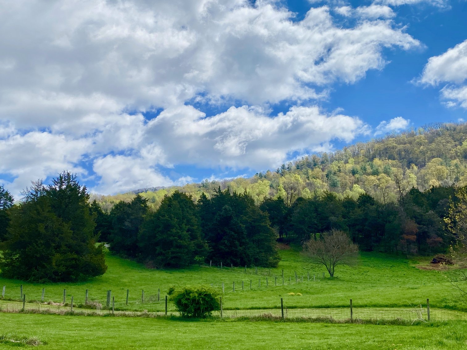 Image for 3 BR/4 BA Home w/Barn, Shop, Ponds, Pool, Fencing & More on 70 +/- Acres w/Amazing Mountain Views--Luray, VA