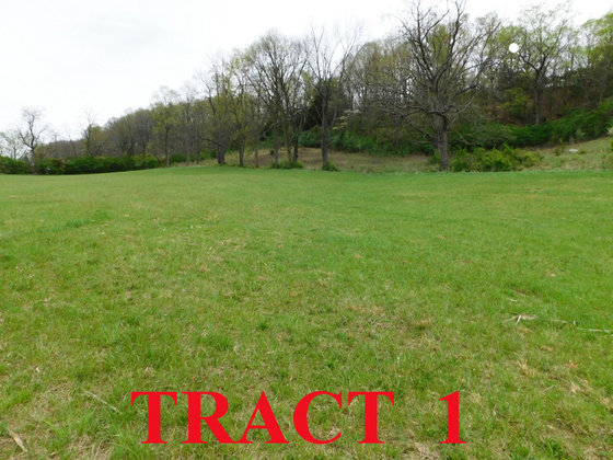 Image for SATURDAY, MAY 1st * 10:00 AM