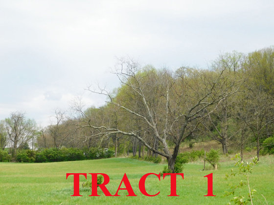 Image for SATURDAY, MAY 1st * 10:00 AM