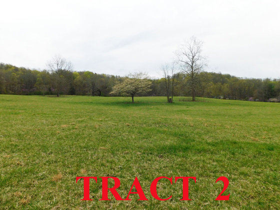 Image for SATURDAY, MAY 1st * 10:00 AM