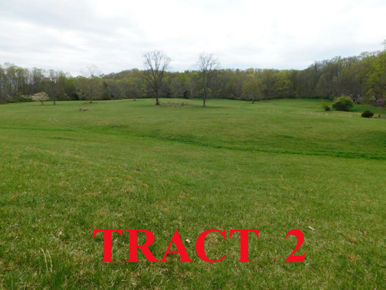 Image for SATURDAY, MAY 1st * 10:00 AM