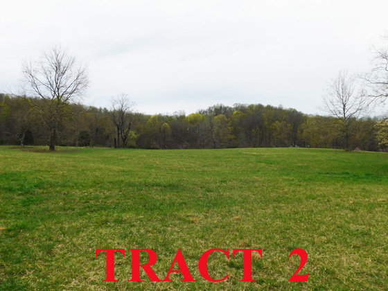 Image for SATURDAY, MAY 1st * 10:00 AM