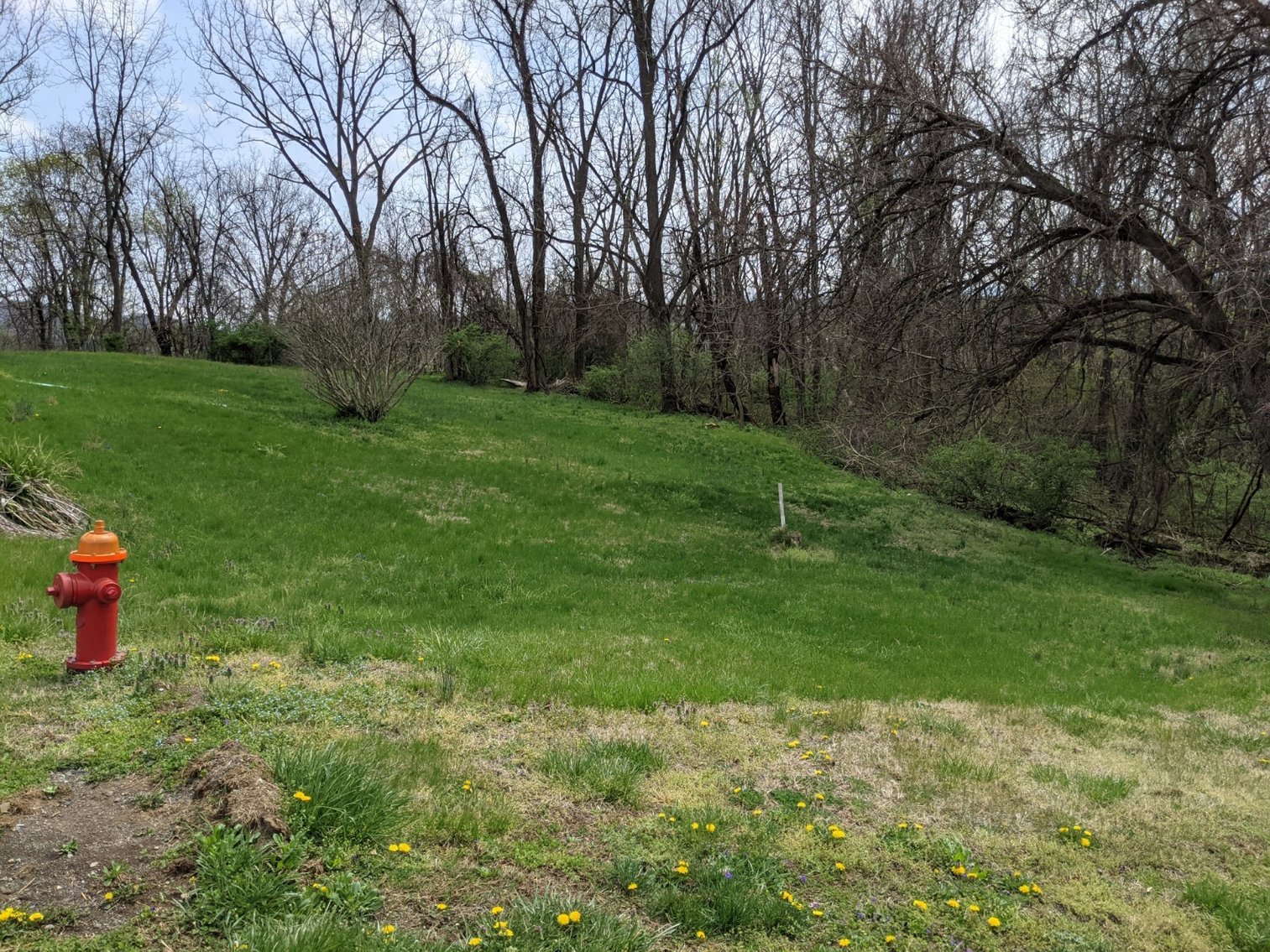 Image for Building Lots In City Of Staunton Zoned R3