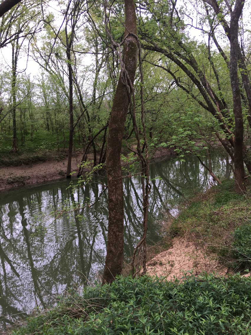 Image for Land on Gasper River