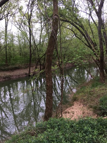 Image for Land on Gasper River