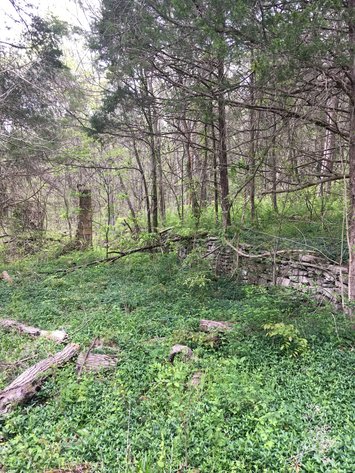 Image for Land on Gasper River