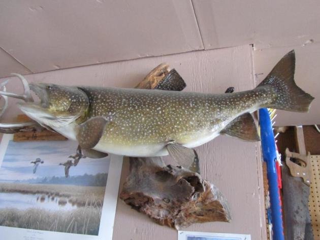 Mona Wolff Living Estate, Hackensack, MN