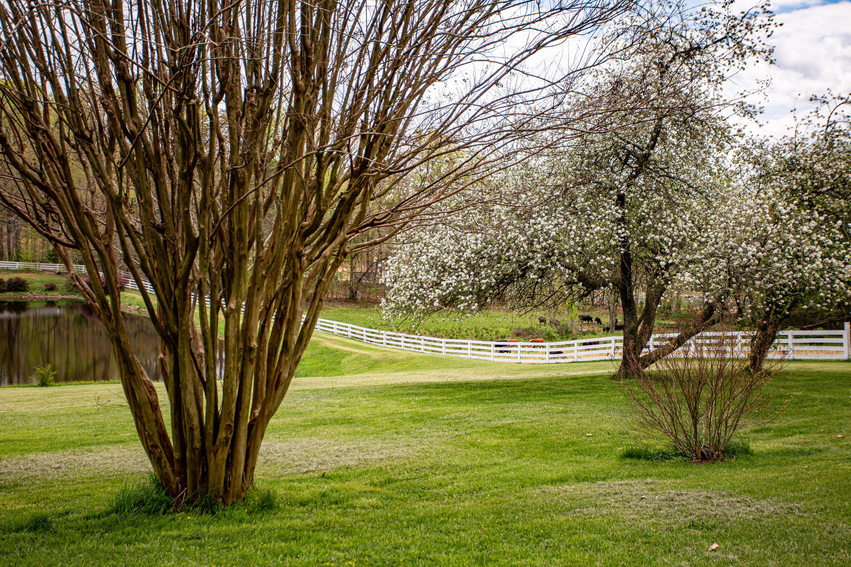 Image for 4 BR/2 BA Farm House, Barns, Fencing & 2 Ponds on 57.5 +/- Acres in Fauquier County, VA--SELLING to the HIGHEST BIDDER!!