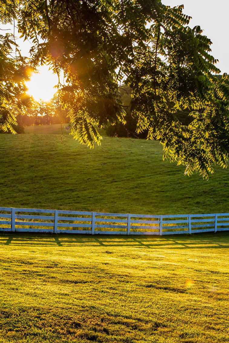 Image for 4 BR/2 BA Farm House, Barns, Fencing & 2 Ponds on 57.5 +/- Acres in Fauquier County, VA--SELLING to the HIGHEST BIDDER!!